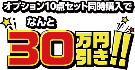 10点セット同時購入で なんと！！30万円引き！！